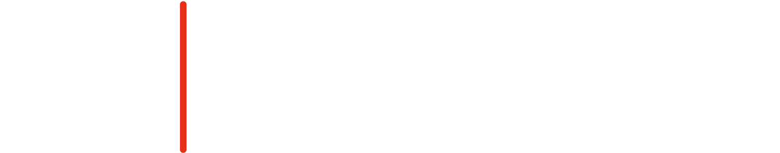 LOGO Life Security Group kopie wit